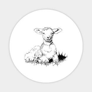 Lamb Ink Drawing Magnet